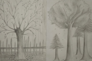 Rysunki wyobrażone drzew w Galerii Sztuki 
