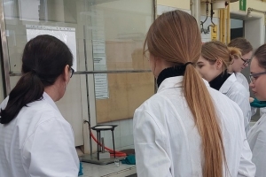 Uczniowie klas maturalnych o profilu biologiczno-chemicznym na zajęciach w Instytucie Chemii UŚ - zdjęcie8